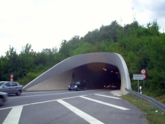 Saukopftunnel_240